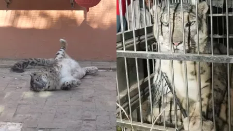 西宁野生动物园